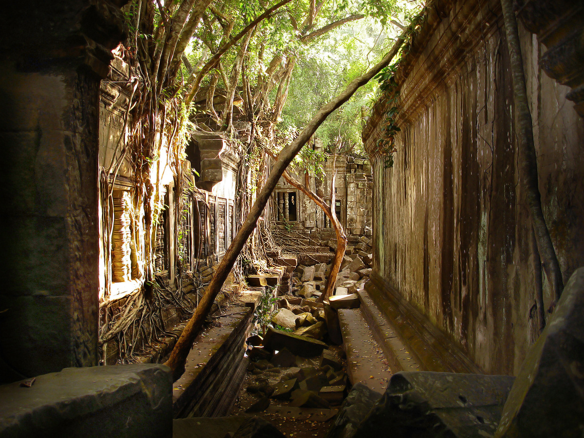 Руины Бенг Мелиа. Камбоджа.