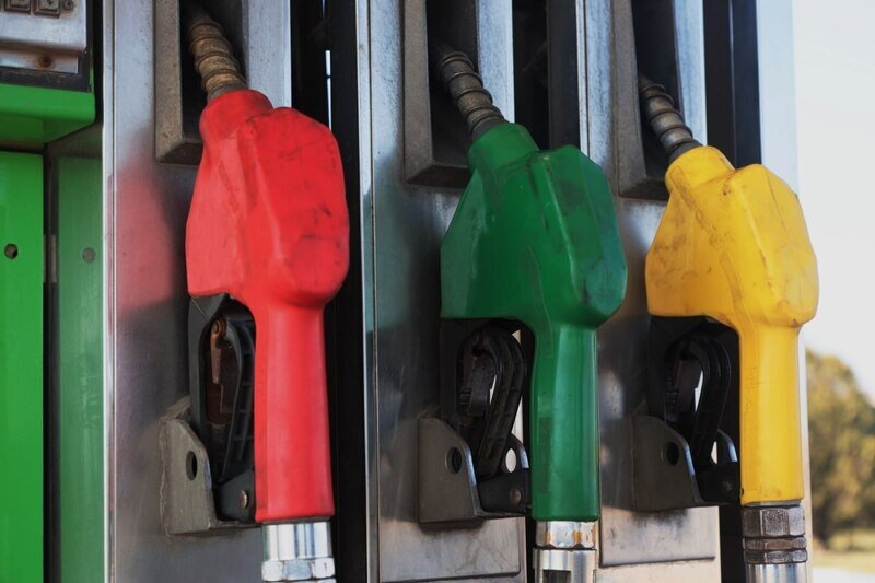 Фото: Наталья Сомова