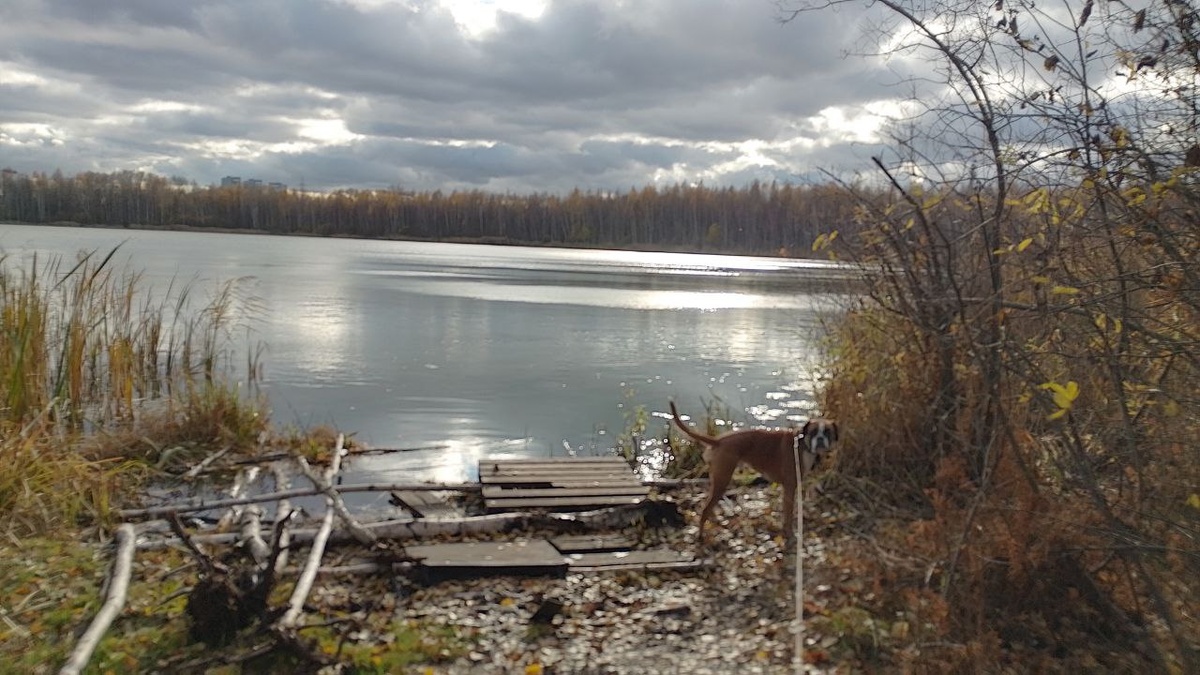 А это с наших совместных прогулок в Москве