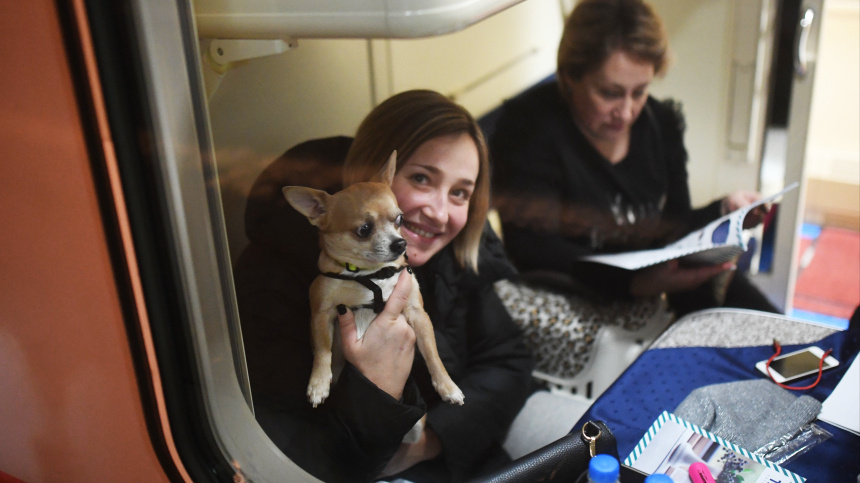    Фото: © РИА Новости/Илья Питалев