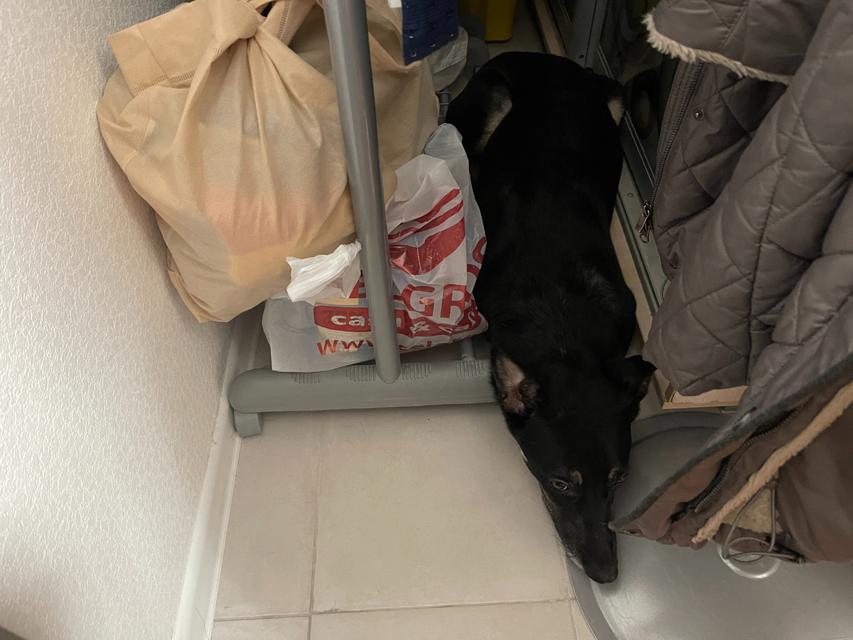 Вот тут мне было совсем не страшно! Ну... Почти совсем не страшно. Миша с мамой не всегда успевали открыть дверь в ванную комнату. А сюда можно всегда забежать и спрятаться. Да, от большой двери звуки иногда были. Но они не такие страшные, как от окна!