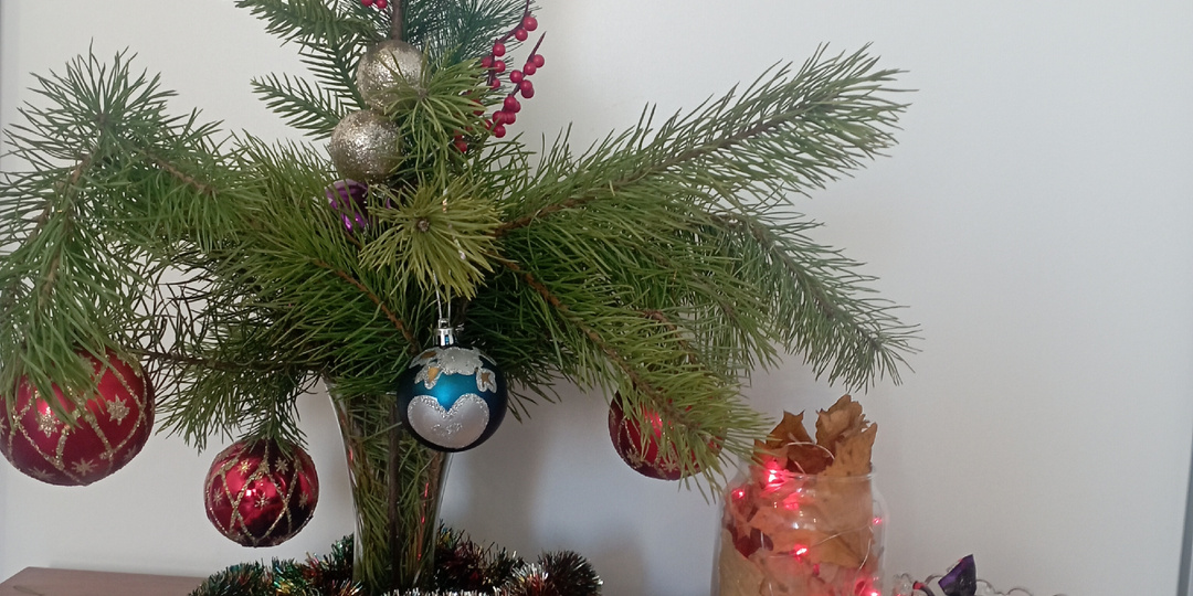 С Новым 2025 годом!