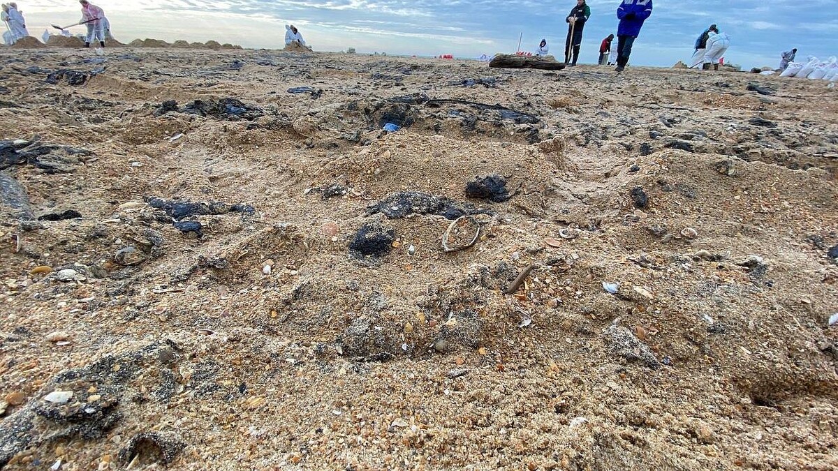    Фото: телеканал «Краснодар»