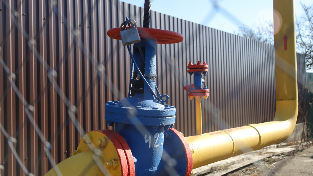    Elena Mayorova/Global Look Press/Globallookpress