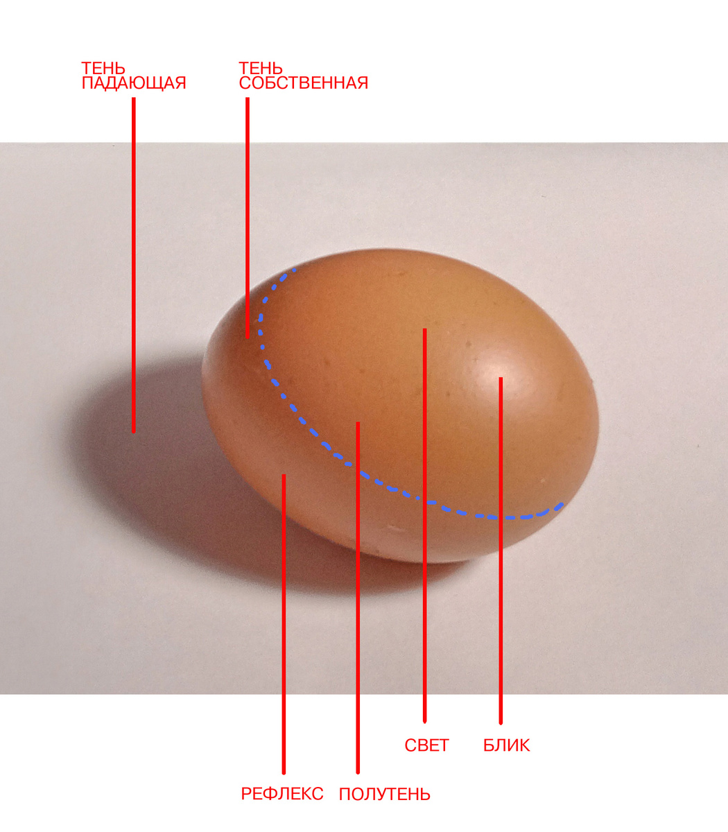 Фотография автора канала 