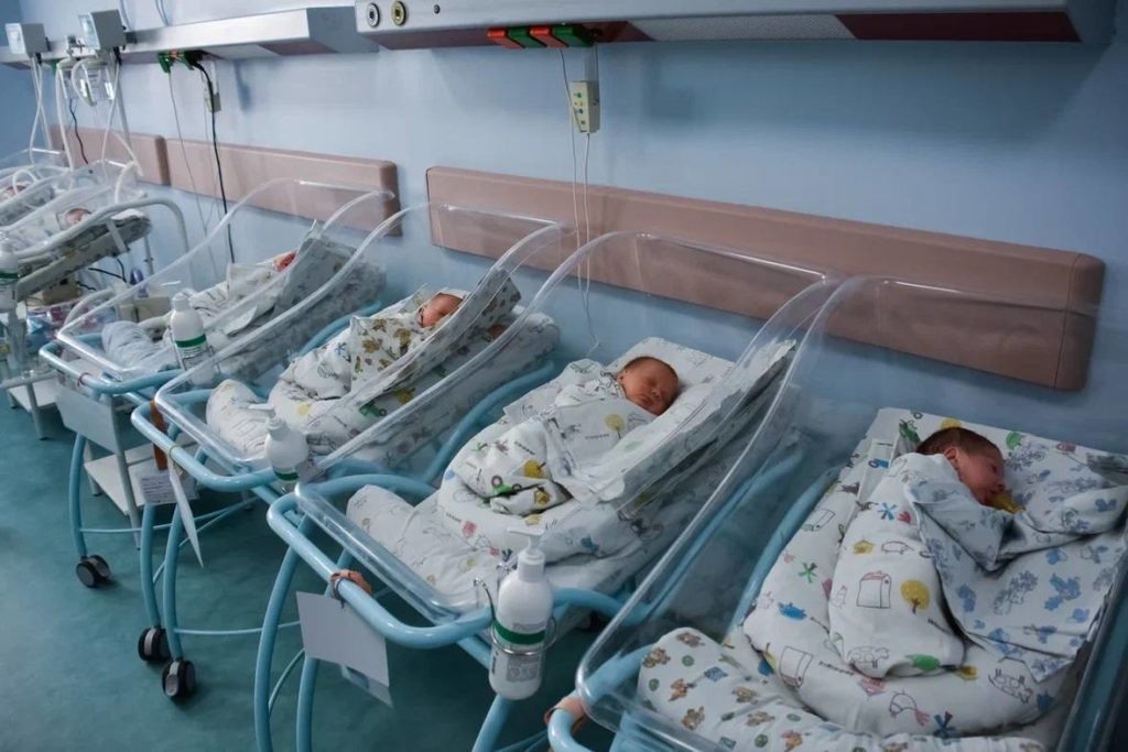    Фото: admkrai.krasnodar tamannews