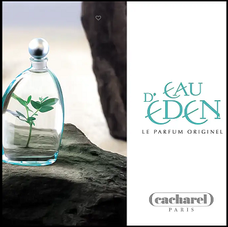 Фото с просторов интернета