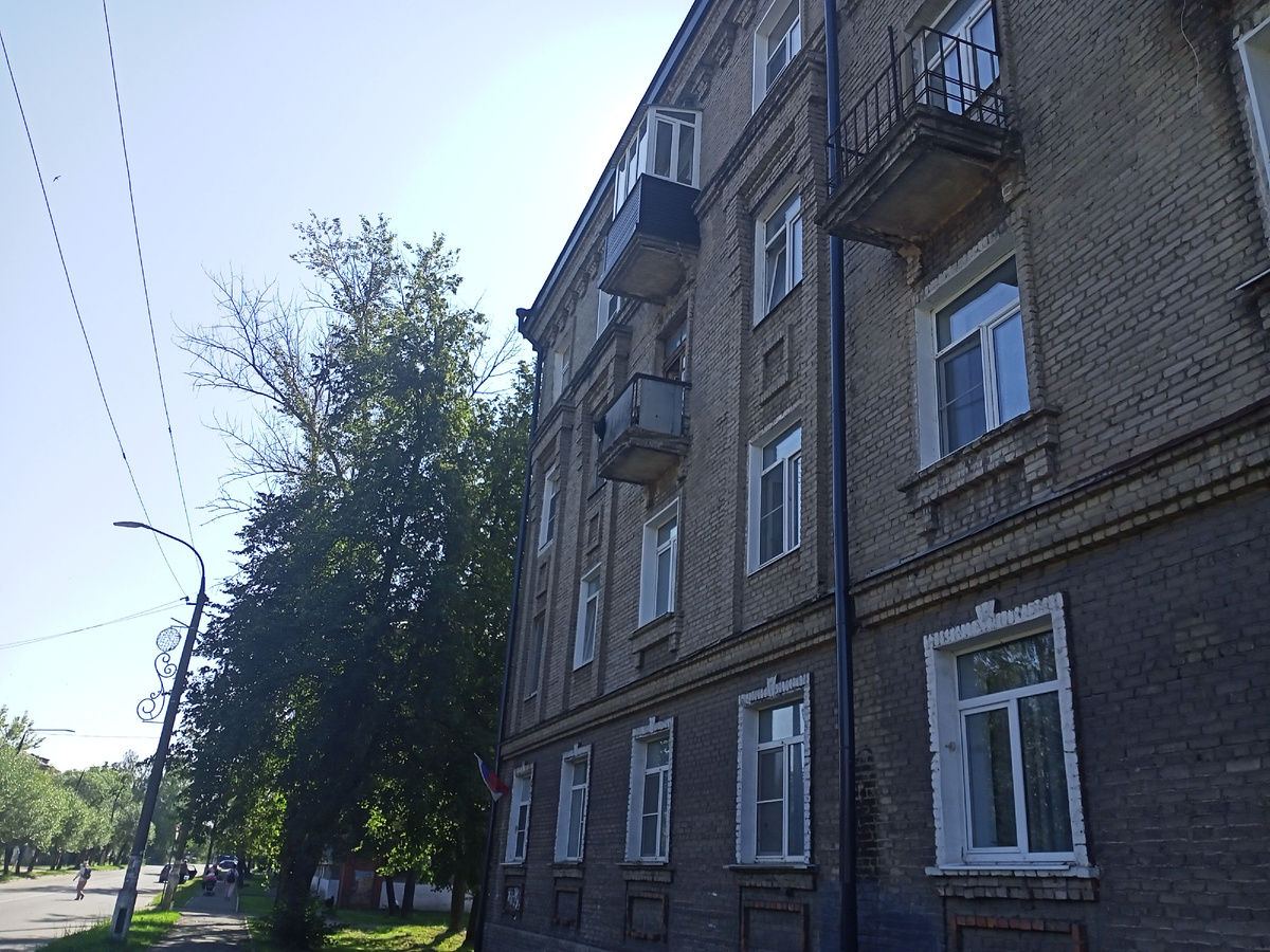 Найди собаку. 