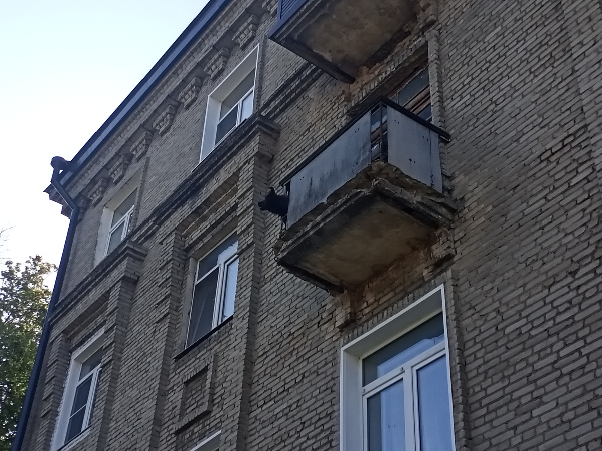 Неизвестная собака: - Выпустите! Выпууууустиииитеееее!