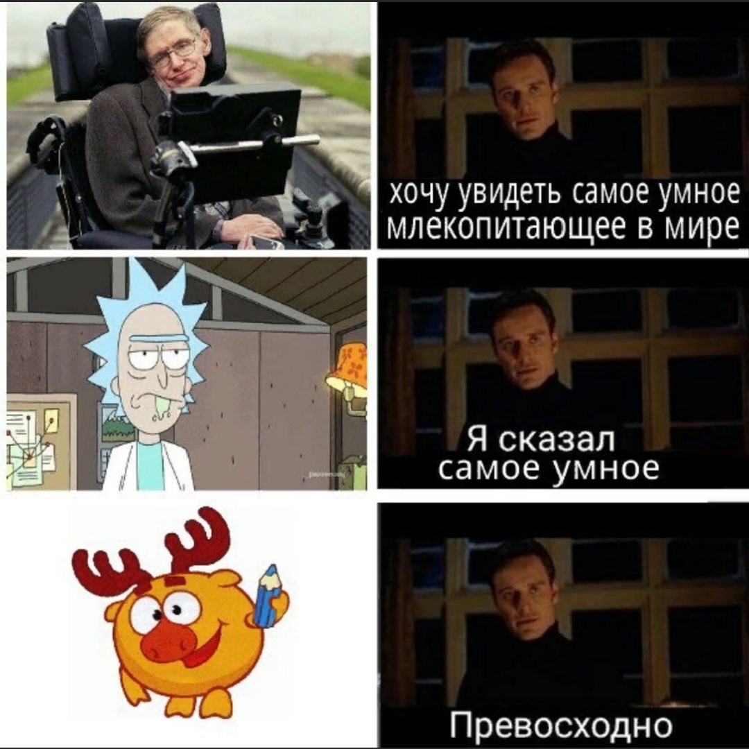 Лосяш умнее всех на свете! Это знают даже дети! 