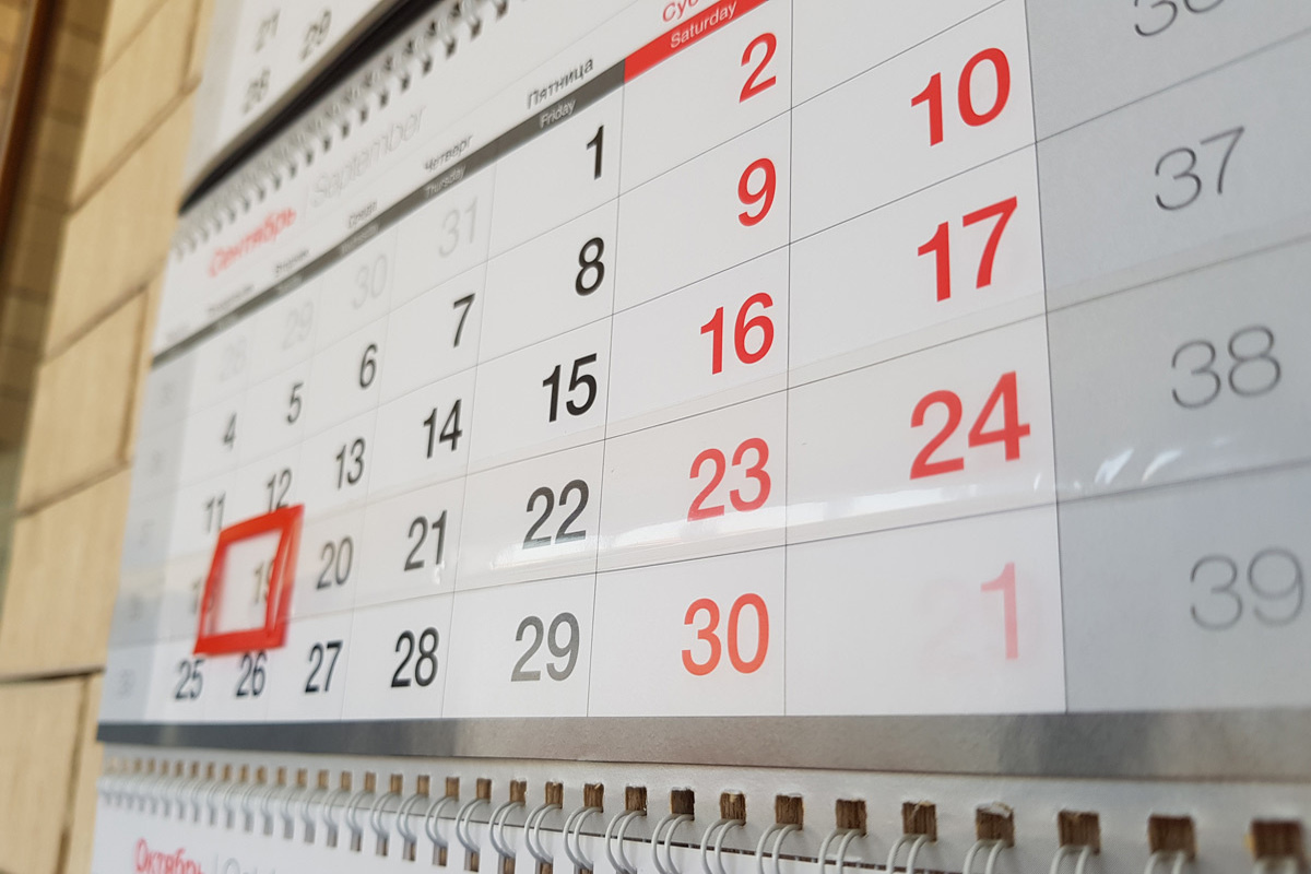    Фото: unsplash Ксения Евдокимова