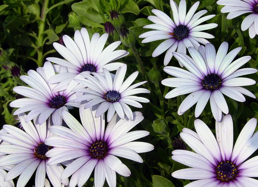 Фото из интернета