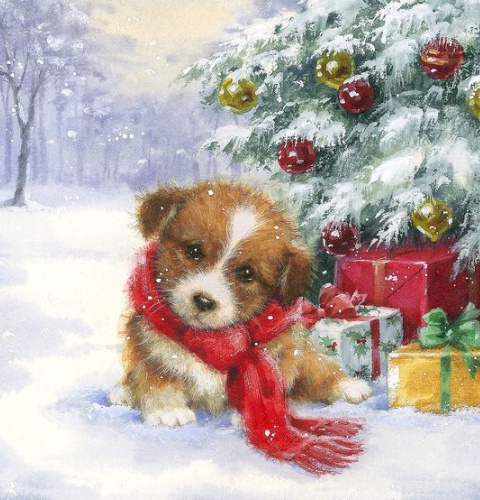   : my.mail.ru