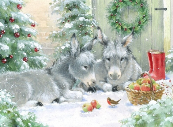   : my.mail.ru