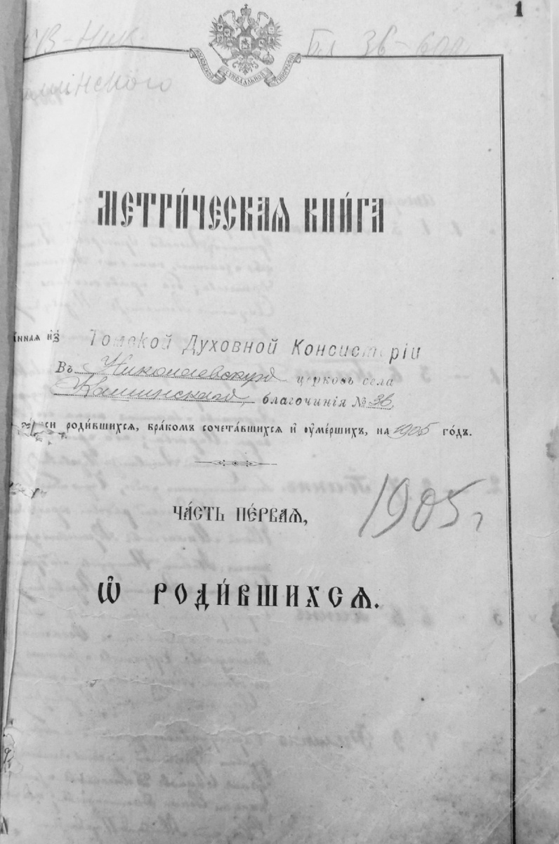 Титульный лист метрической книги Николаевской церкви села Кашинского за 1905 г.