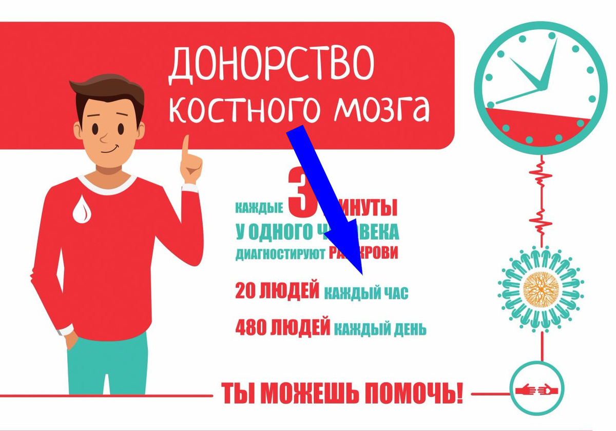    Смертельная надежда: белорус ищет донора костного мозга для жены