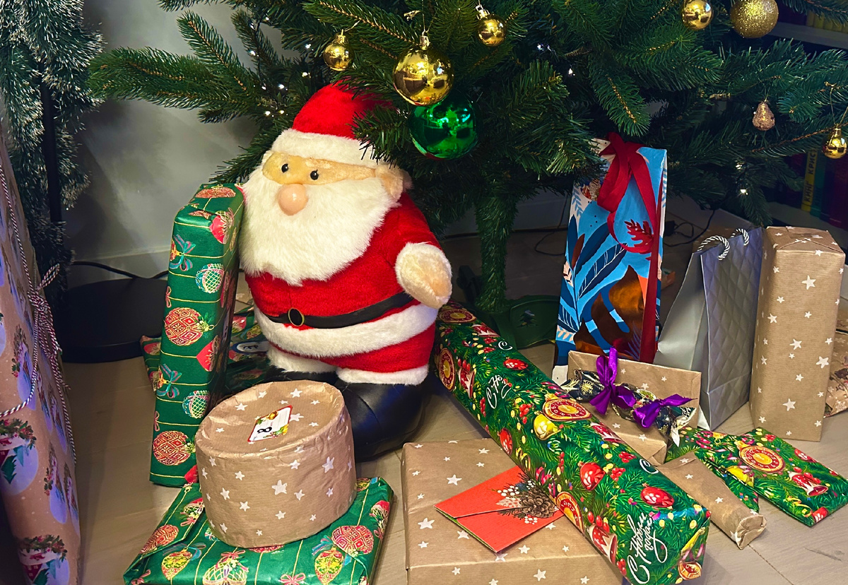 Фотография сделана автором 