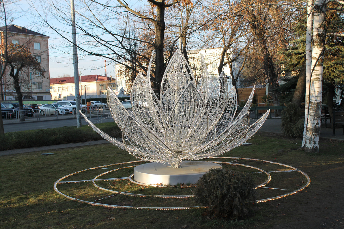 Фото в галерее можно листать. На фото: Лотос - элемент Новогодней декорации С.Н.Галицкого на ул. Красной.