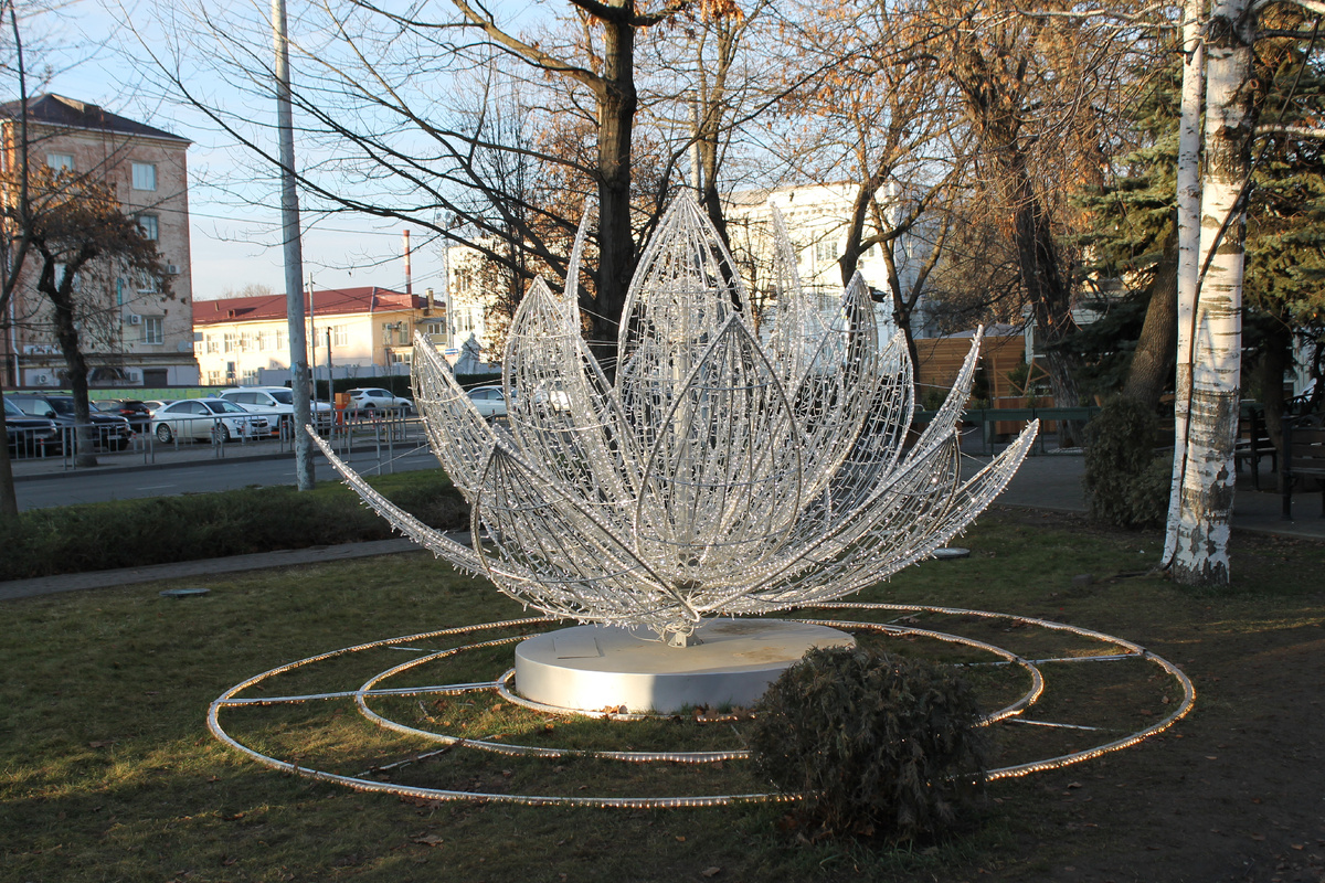 Фото в галерее можно листать. На фото: Лотос - элемент Новогодней декорации С.Н.Галикого на ул. Красной.