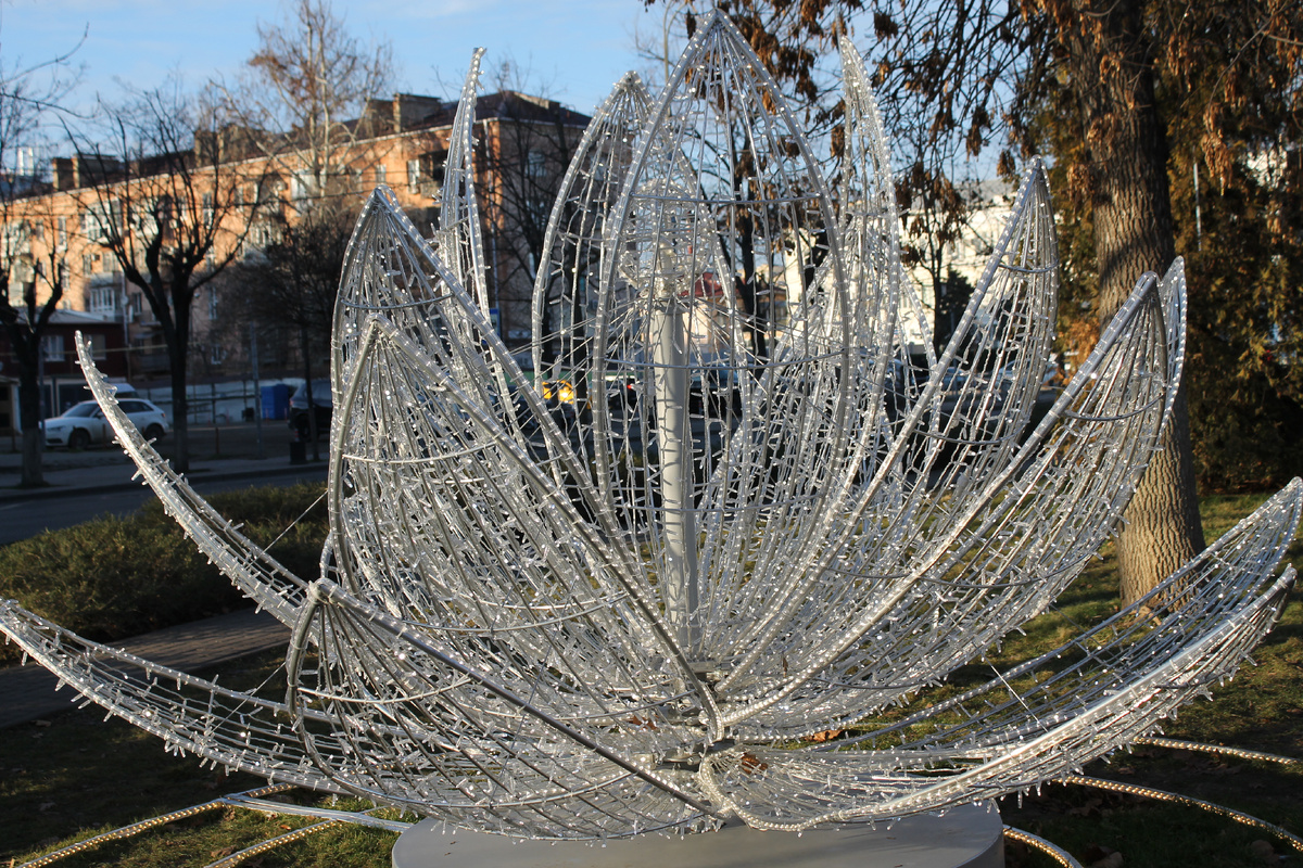 Фото в галерее можно листать. На фото: Лотос - элемент Новогодней декорации С.Н.Галикого на ул. Красной.