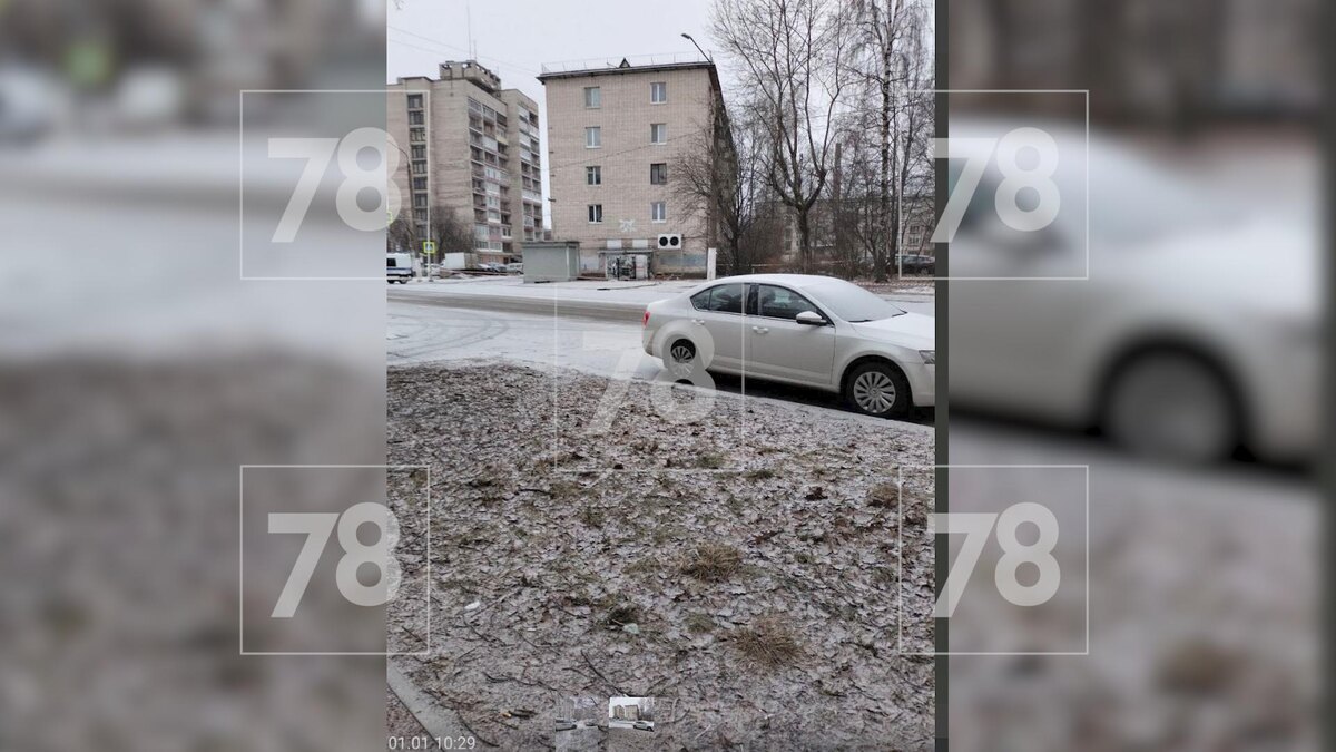    Фото: мвд + росгвардия