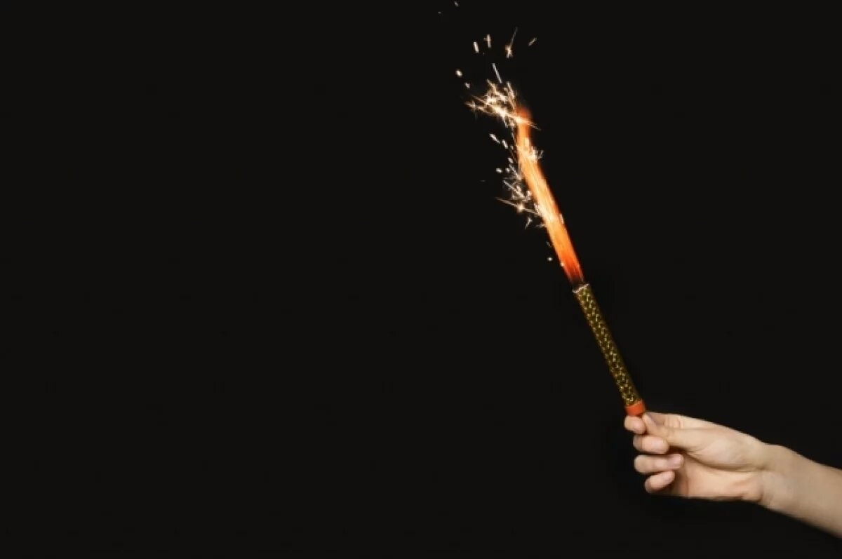    Пять человек погибли из-за взрывов петард в новогоднюю ночь в Германии