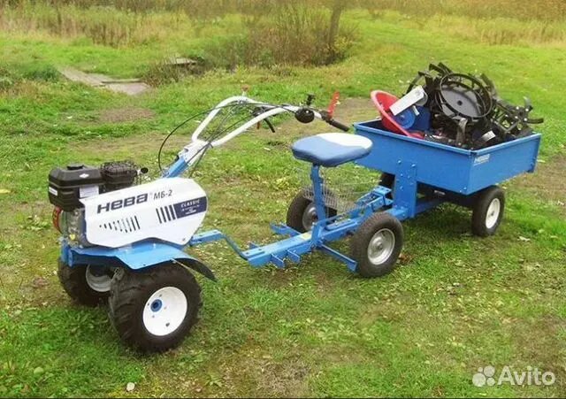 фото источник интернет