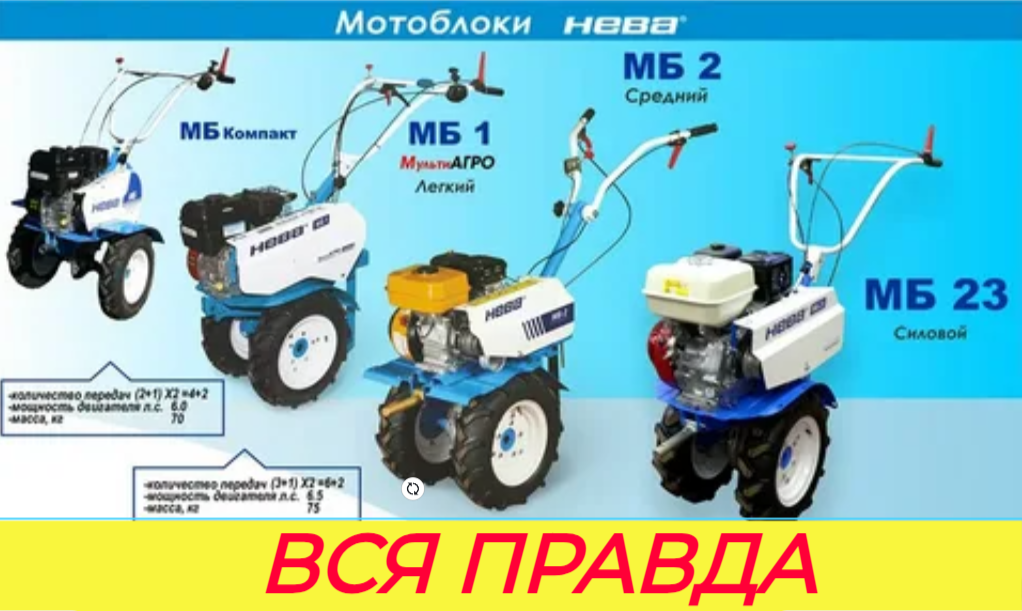 фото источник интернет