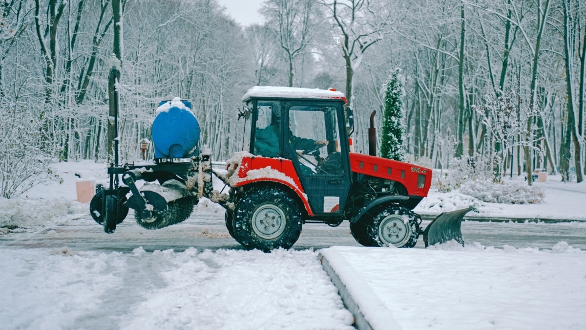 Светлана Мулыкина📷
