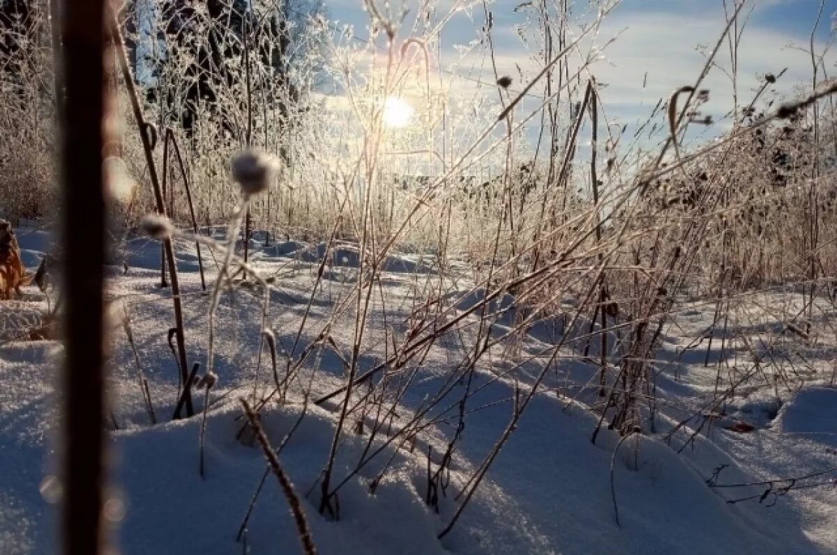    Мороз до -38 градусов и небольшой снег ожидаются 2 января в Забайкалье