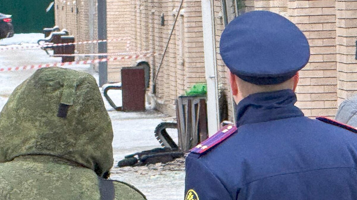    Фото: Petrov Sergey/globallookpress.com