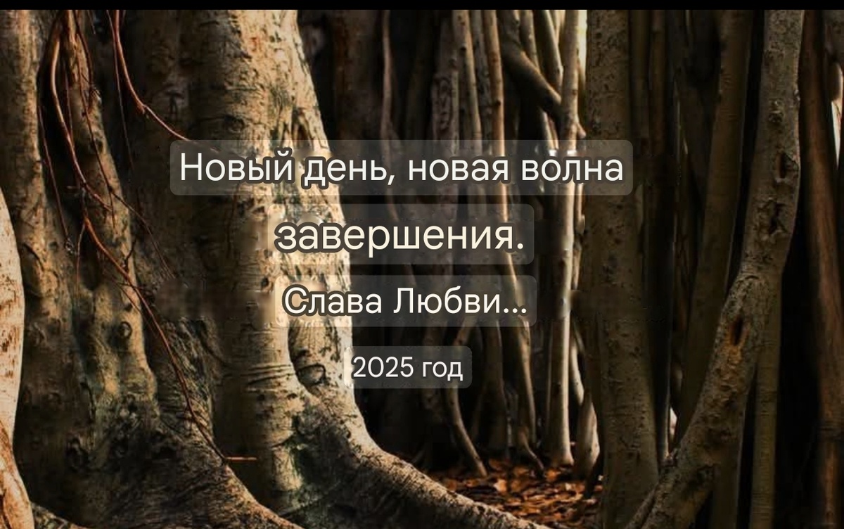 Картинка автора