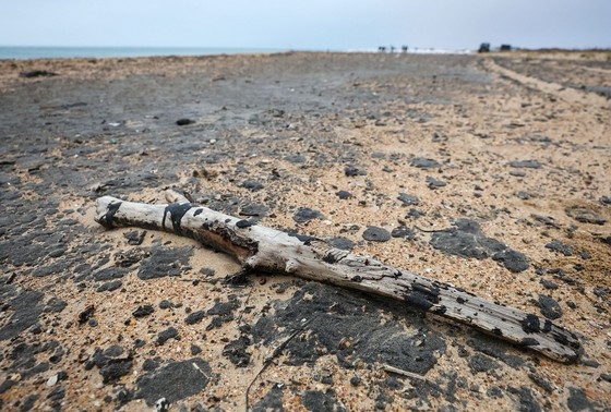    Ситуация на пляже в Анапе
