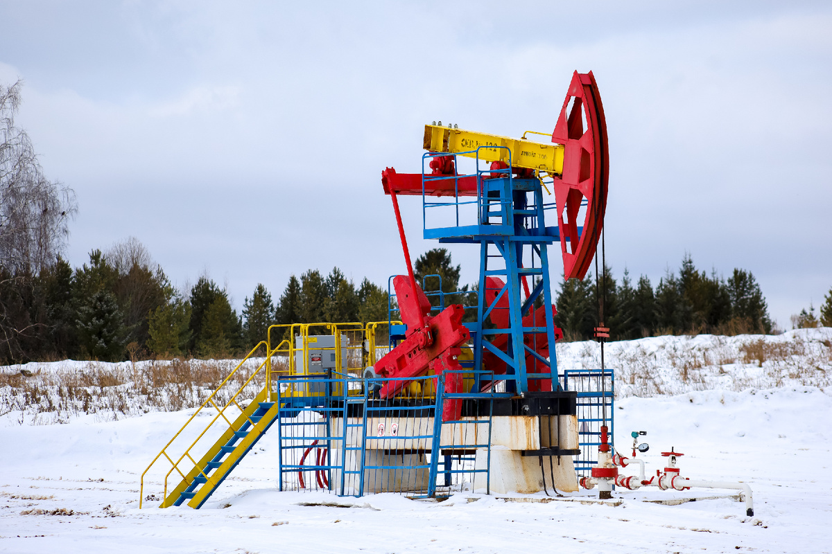 ФОТО: Elena Mayorova/Global Look Press