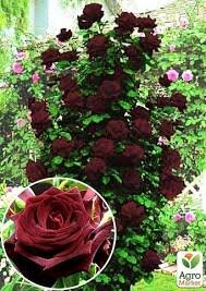 Знакомое фото?? 