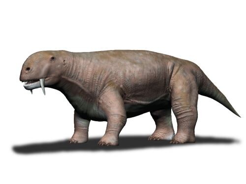 Тиараджуденс.