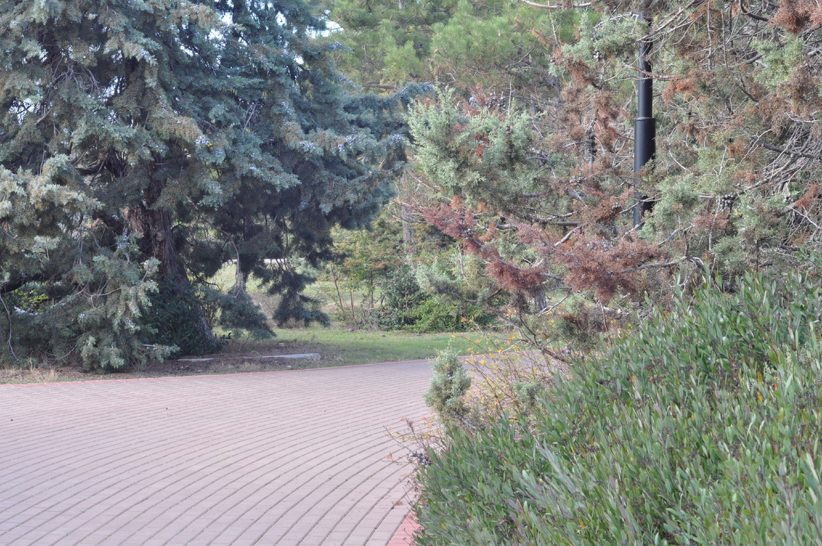 Такая вот погода в Севастополе (04.01.2025). 