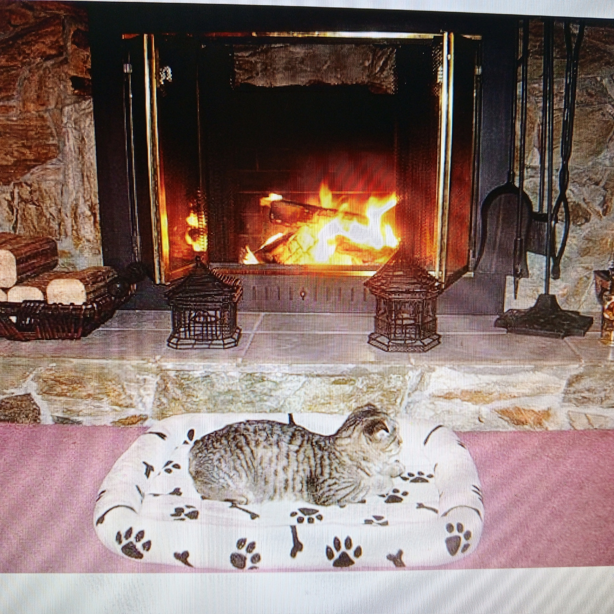 Мой год, год уединения и внутренней гармонии. И кошка у камина - это я. 