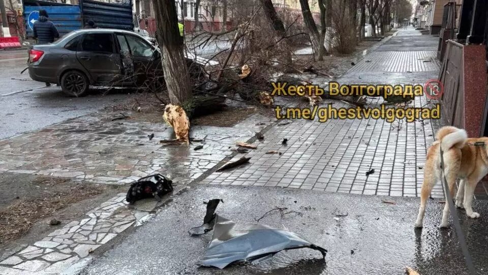     Источник: Жесть Волгограда