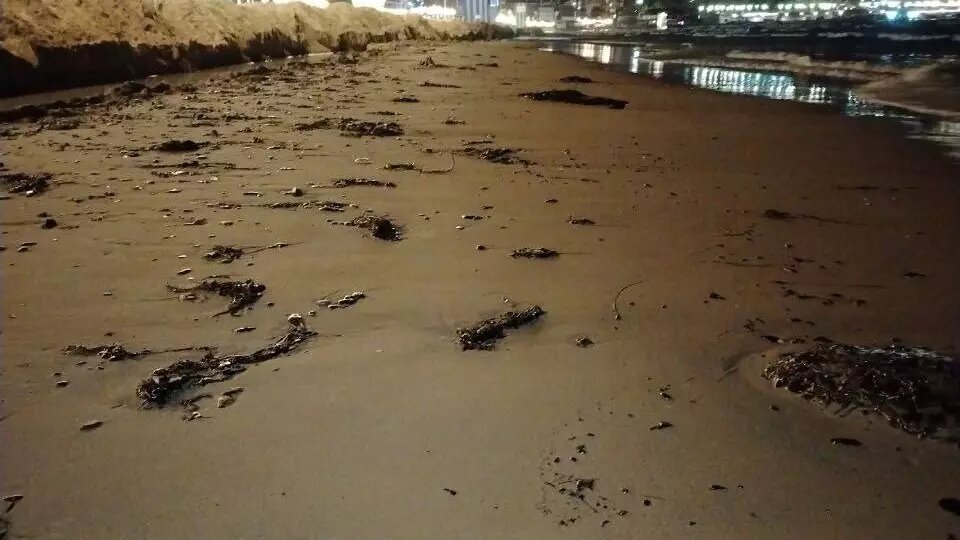     Источник: мэрия Анапы