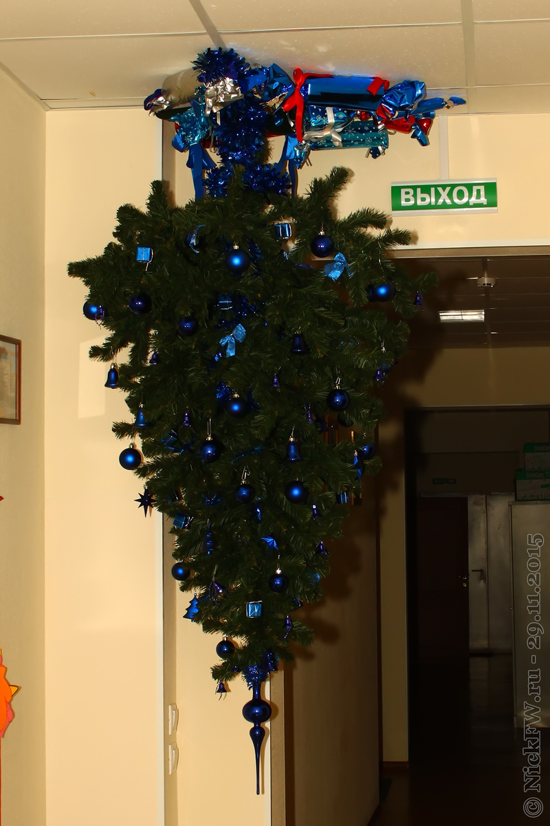 2. Ёлка в офисном коридоре © NickFW.ru — 29.11.2015г.