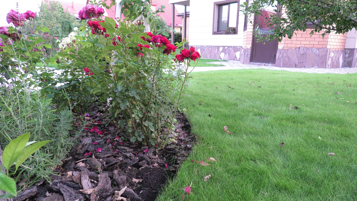 Фото из личного архива