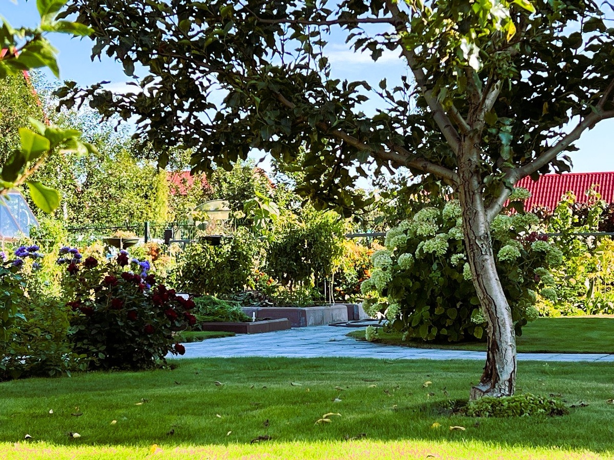 Фото из личного архива