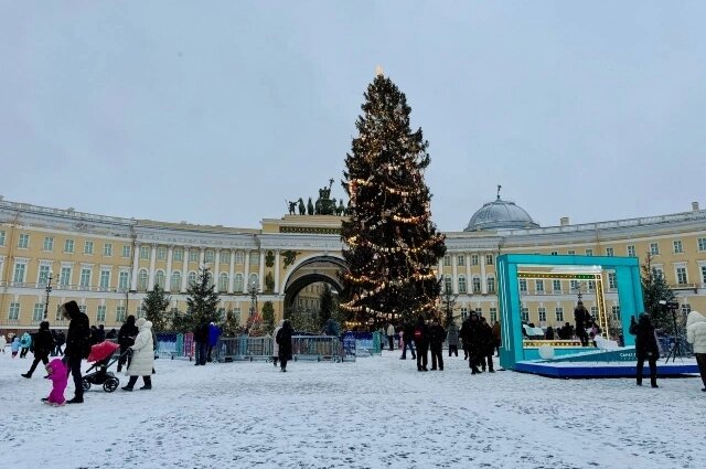    Фото: Telegram-канал вице-губернатора Петербурга Евгения Разумишкина.