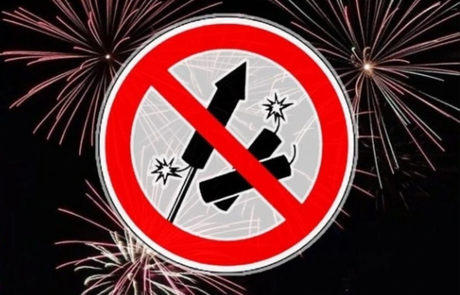    ФОТО: grad.kostroma.gov.ru