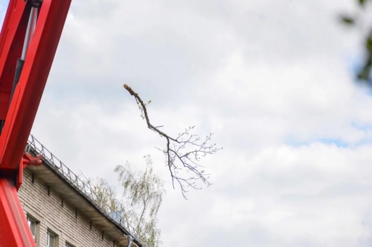    Порывистый ветер и гололедица ожидаются в Туле в ближайшие часы