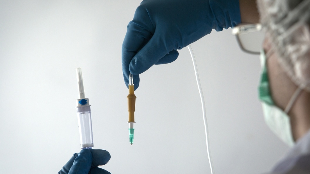    Nikolay Gyngazov/Globallookpress