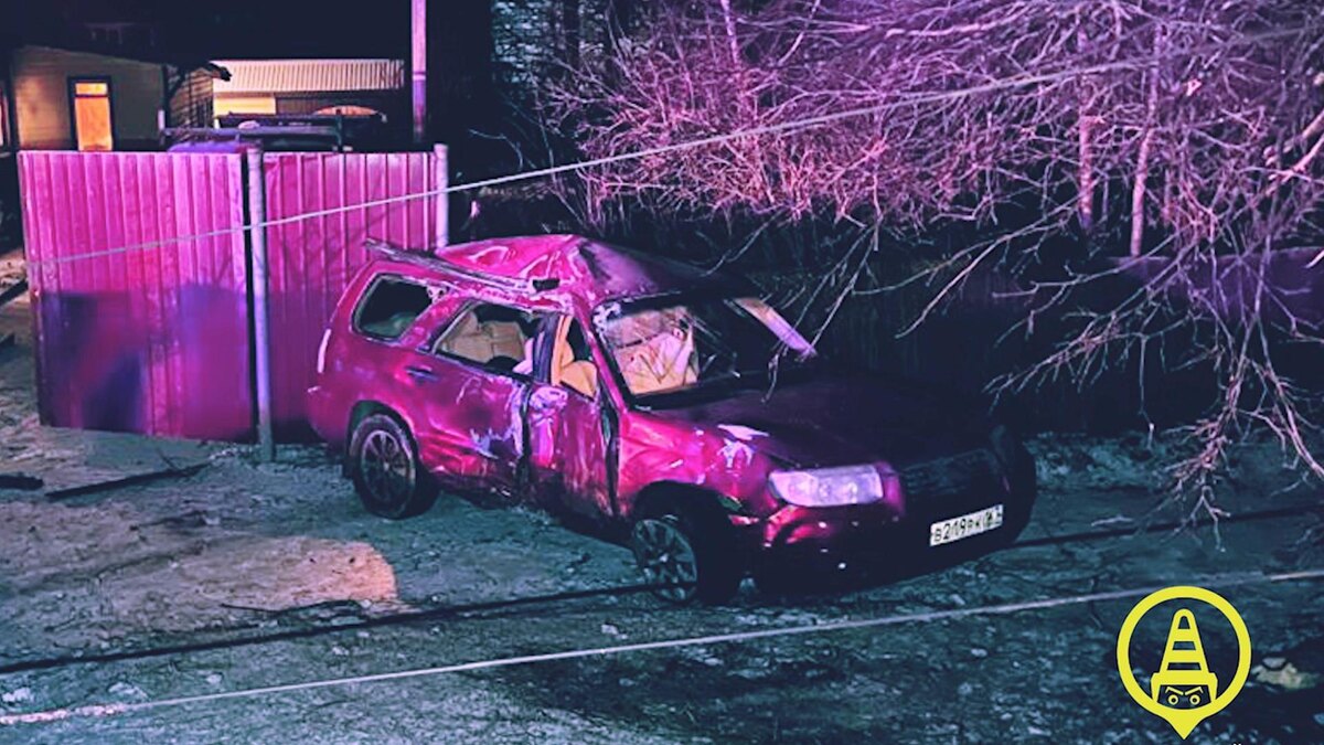    Фото: vk.com/dorinspb