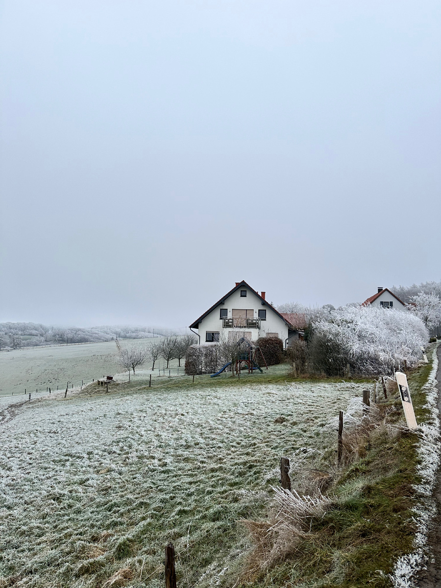 Конечно, это не такой снег, как в Финляндии или в России, но тоже пойдет. 