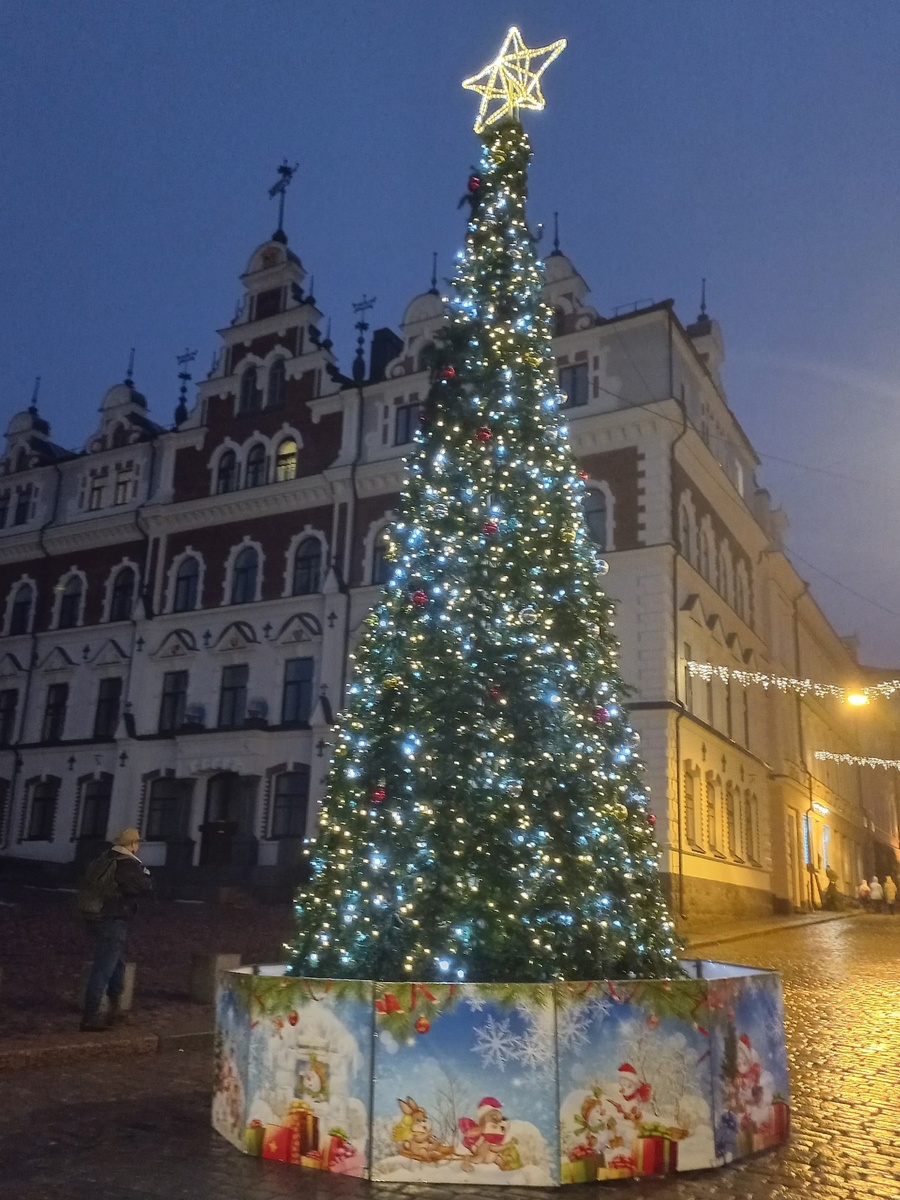 Елка под дождем